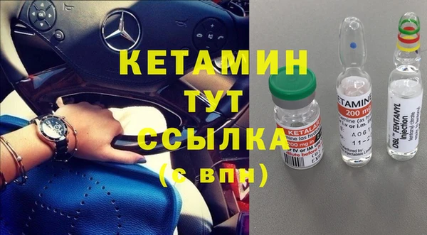 прущие грибы Балахна