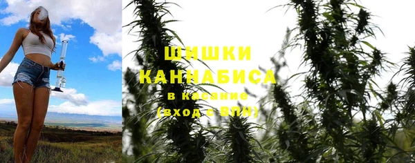 прущие грибы Балахна