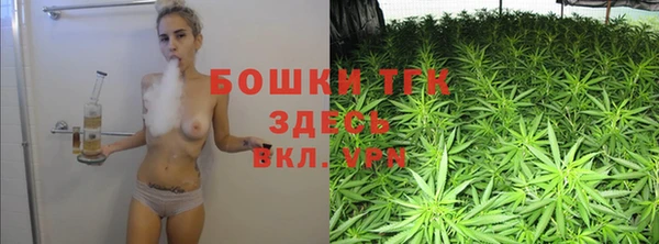 прущие грибы Балахна