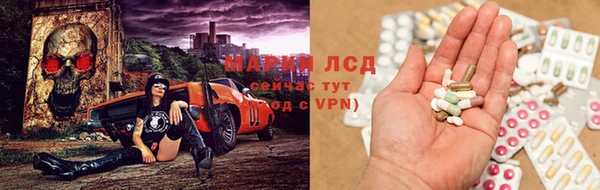 прущие грибы Балахна