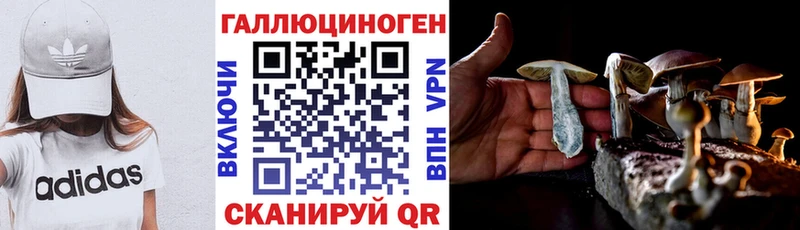 нарко площадка состав  наркотики  Белебей  Псилоцибиновые грибы Psilocybine cubensis 